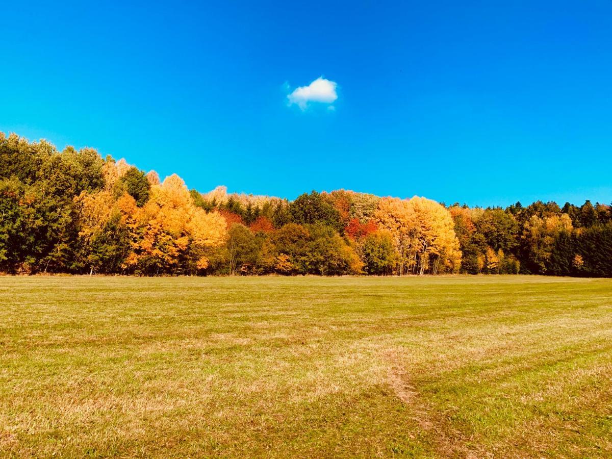 Bayerischer Wald - Balbersdorf Waffenbrunn Екстер'єр фото