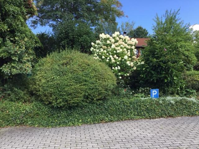 Bayerischer Wald - Balbersdorf Waffenbrunn Екстер'єр фото